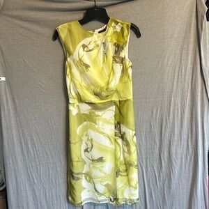NWT! Limited sleeveless dress. Beautiful! Size 0! Light green blend.